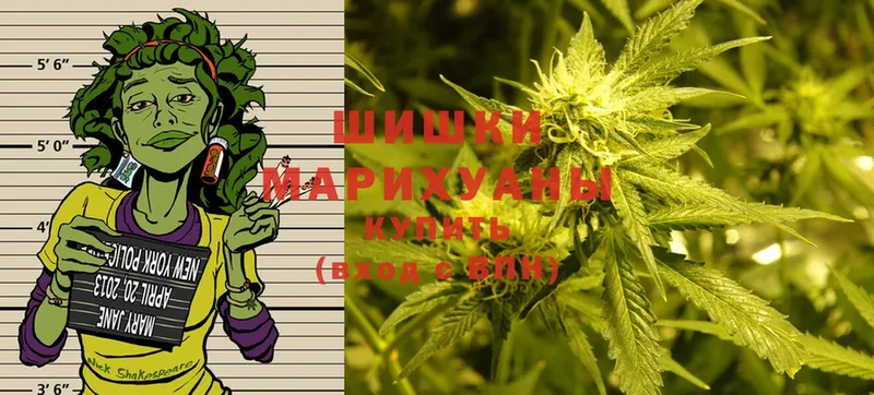 Шишки марихуана LSD WEED  Асино 